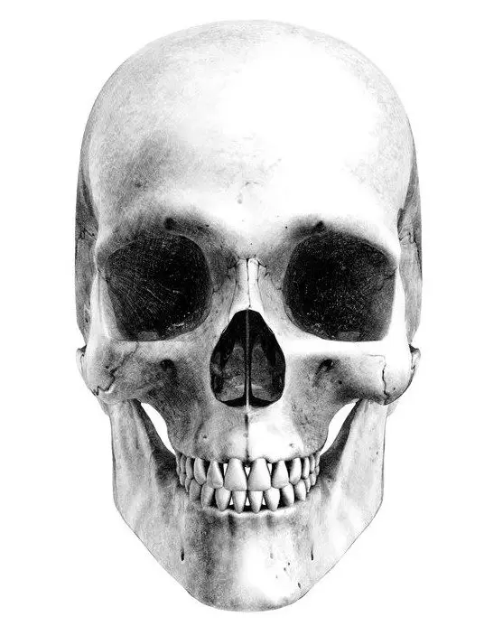 Simple Skull Mouth Open Drawing.