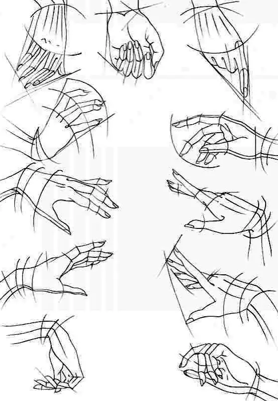 anatomy-drawing-guide-10 – Improve Drawing