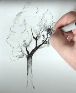 How to Draw a Tree in Pen and Ink - Improve Drawing