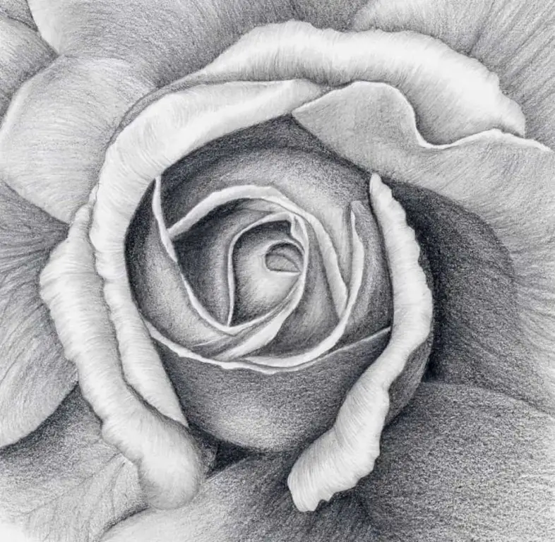 How To Draw A Flower In Charcoal – Improve Drawing