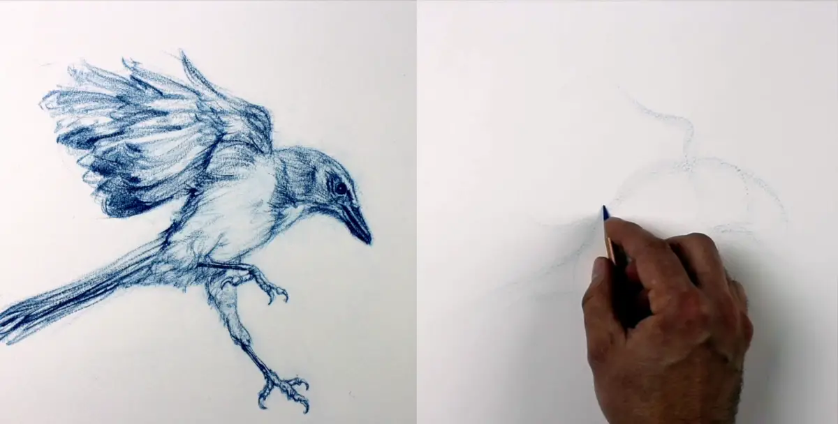 The Art & Science of Drawing BASIC SKILLS