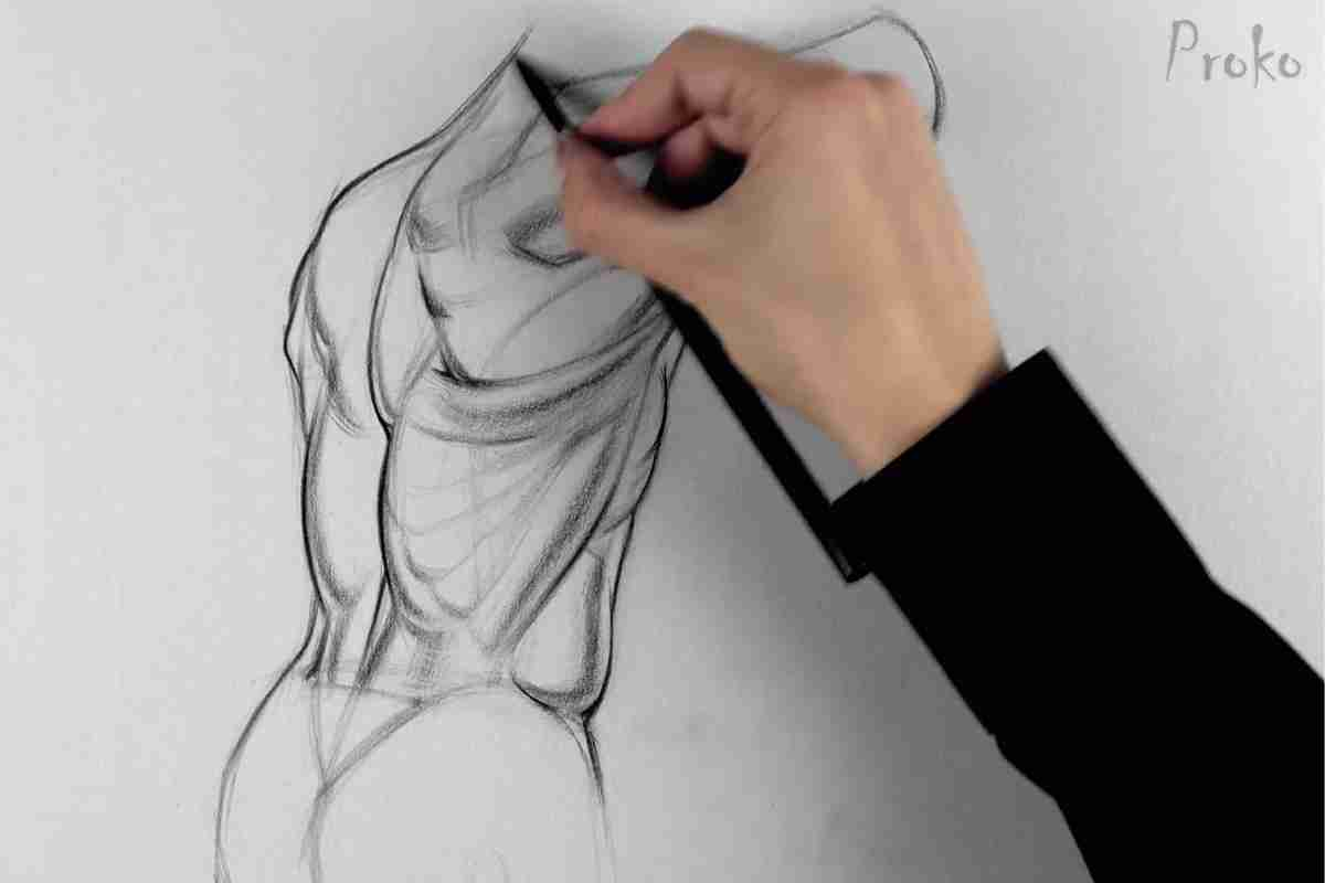 How To Practice Drawing Anatomy The Essential Guide Improve Drawing