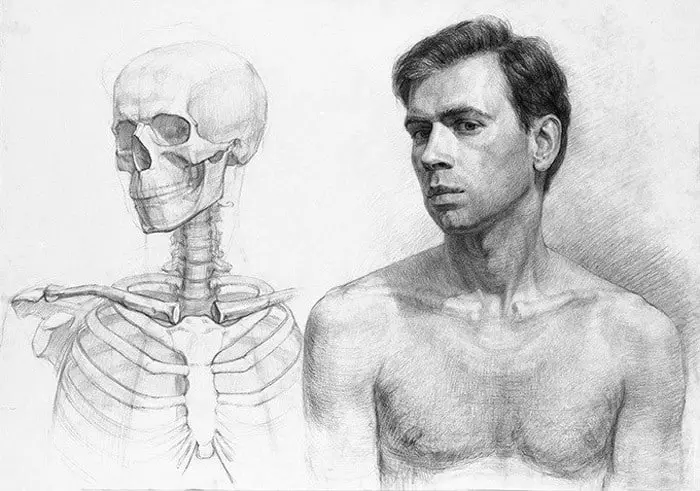 How To Practice Drawing Anatomy The Essential Guide