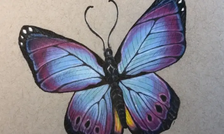 The Colored Pencil Drawing Course - Beginner to Advanced