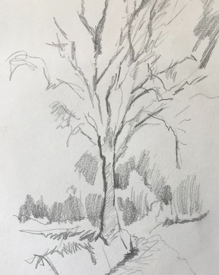 How to Sketch Loosely Improve Drawing