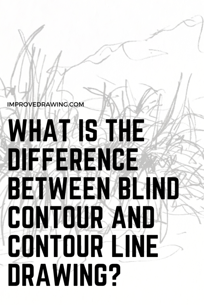 blind contour line art definition