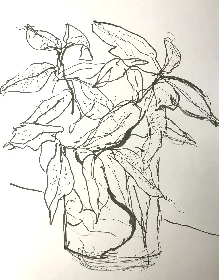 Still Life Continuous Sketch