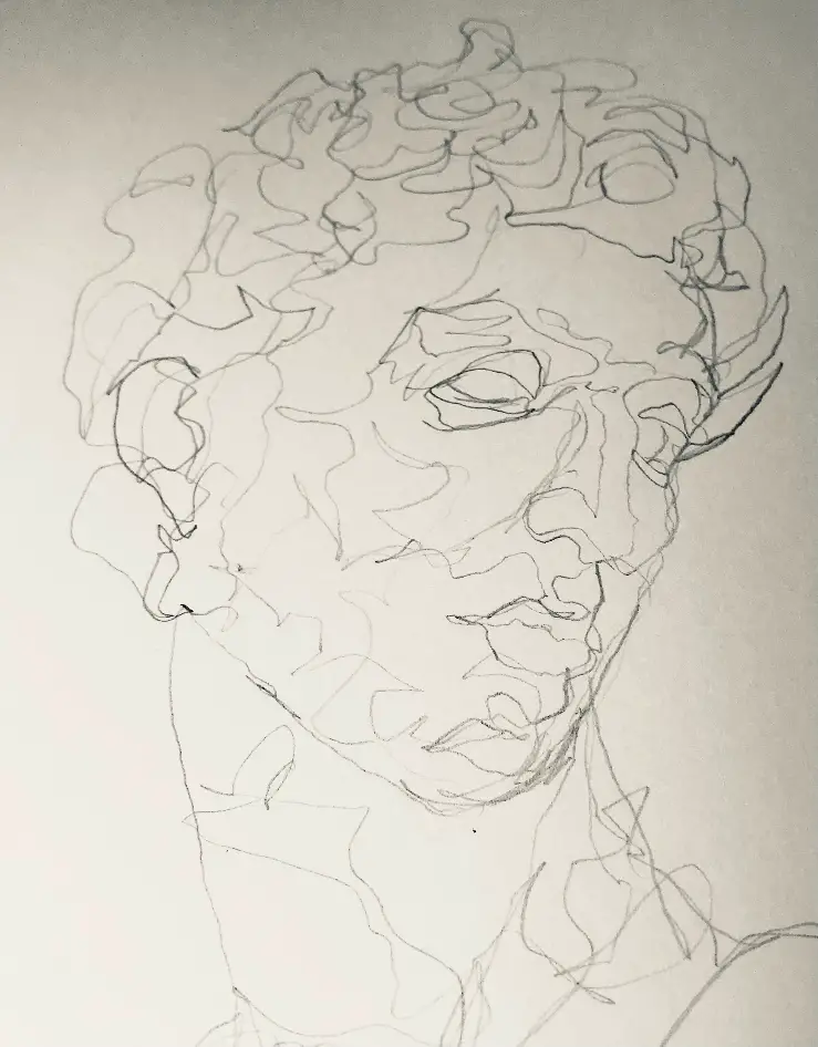 Continuous Line Drawing of the Face A Complete Guide Improve Drawing