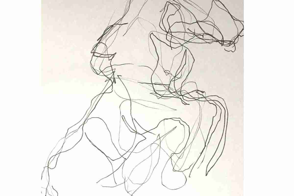 Draw Blind Contour Drawings