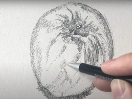 How to Draw an Apple 