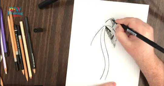 How to Draw Palm Trees Leaves
