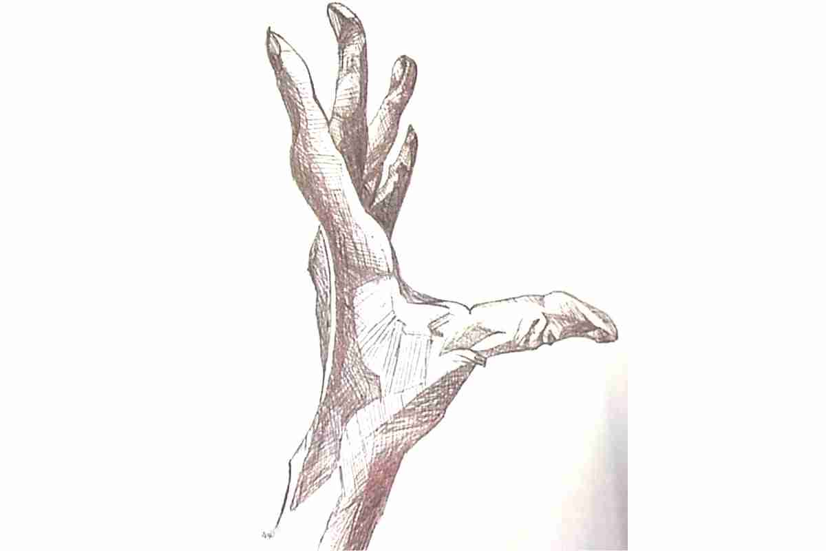 Draw Skin Folds on the Hands