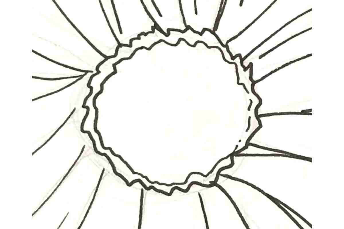 Draw the Center of the Flower
